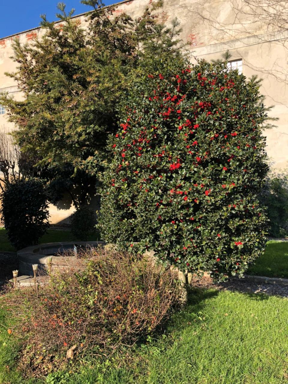 L'Ago Nel Pagliaio Turbigo Exterior foto